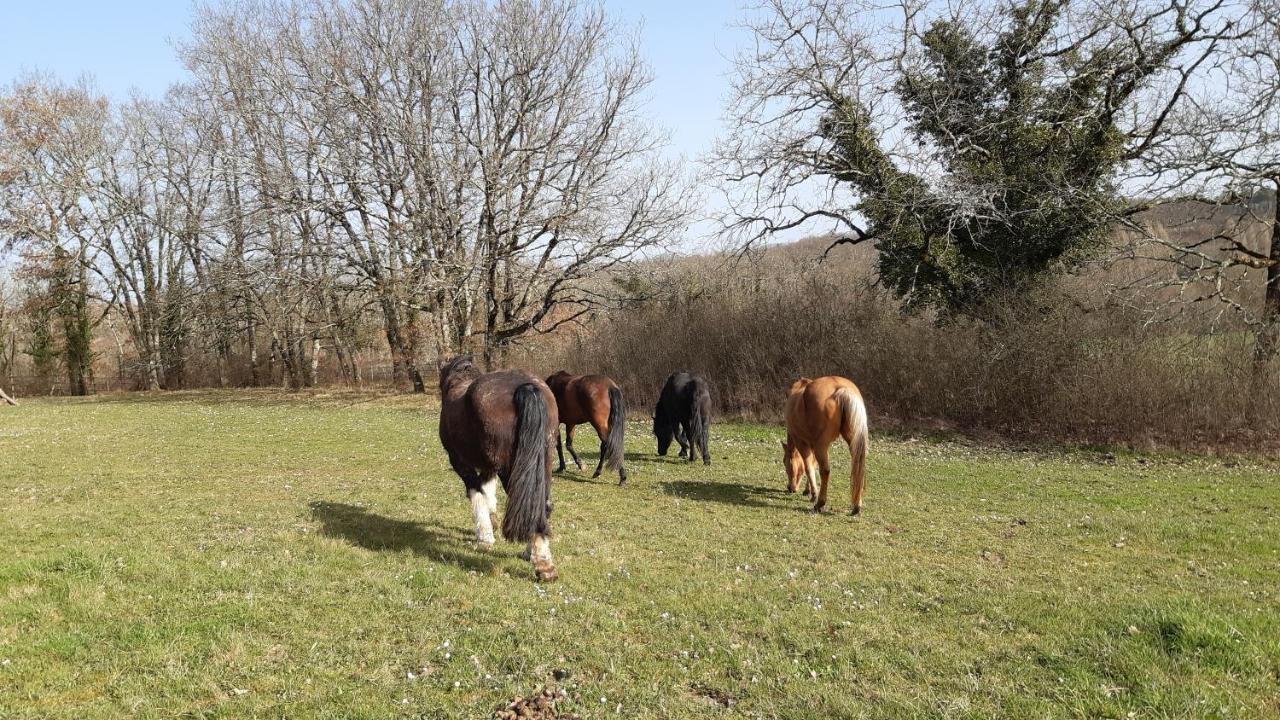 Ferme Brasseyrou - B&B Classique Devillac Exterior foto